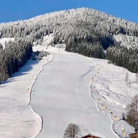 Mountain In For 8 Saalbach-Hinterglemm